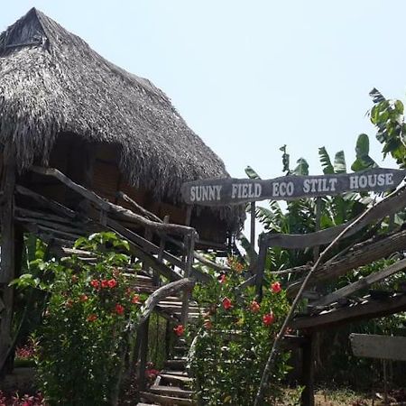 Sunny Field Eco Stilt House Villa Cat Tien Exteriör bild
