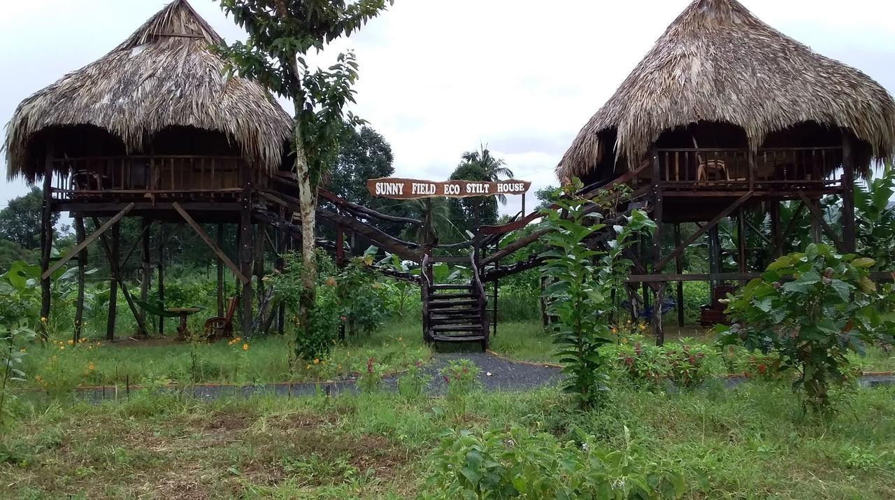 Sunny Field Eco Stilt House Villa Cat Tien Exteriör bild
