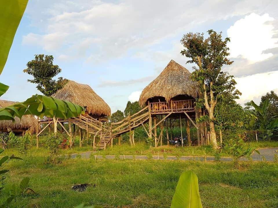 Sunny Field Eco Stilt House Villa Cat Tien Exteriör bild