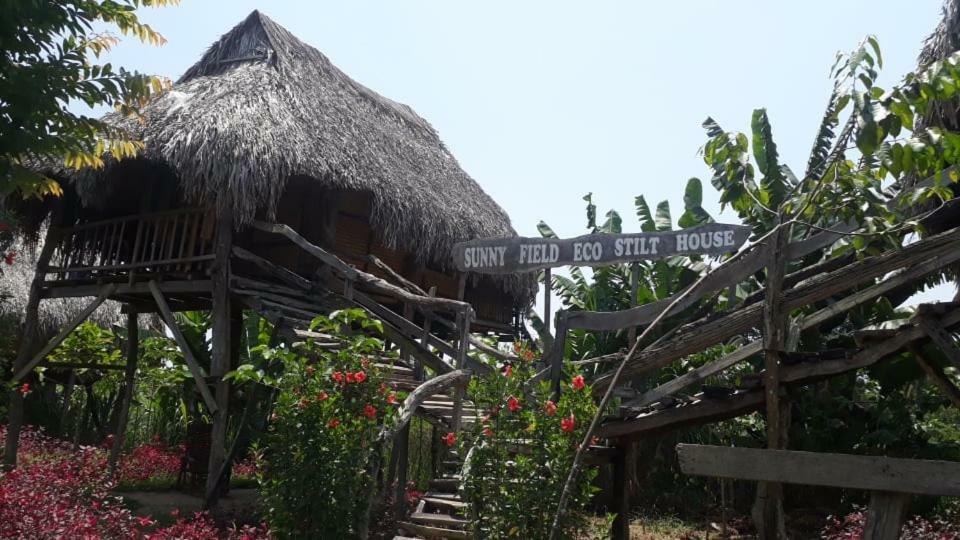 Sunny Field Eco Stilt House Villa Cat Tien Exteriör bild
