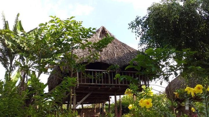 Sunny Field Eco Stilt House Villa Cat Tien Exteriör bild
